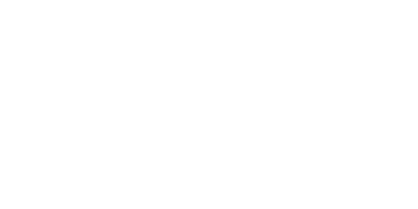 네이버페이 logo
